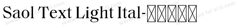 Saol Text Light Ital字体转换